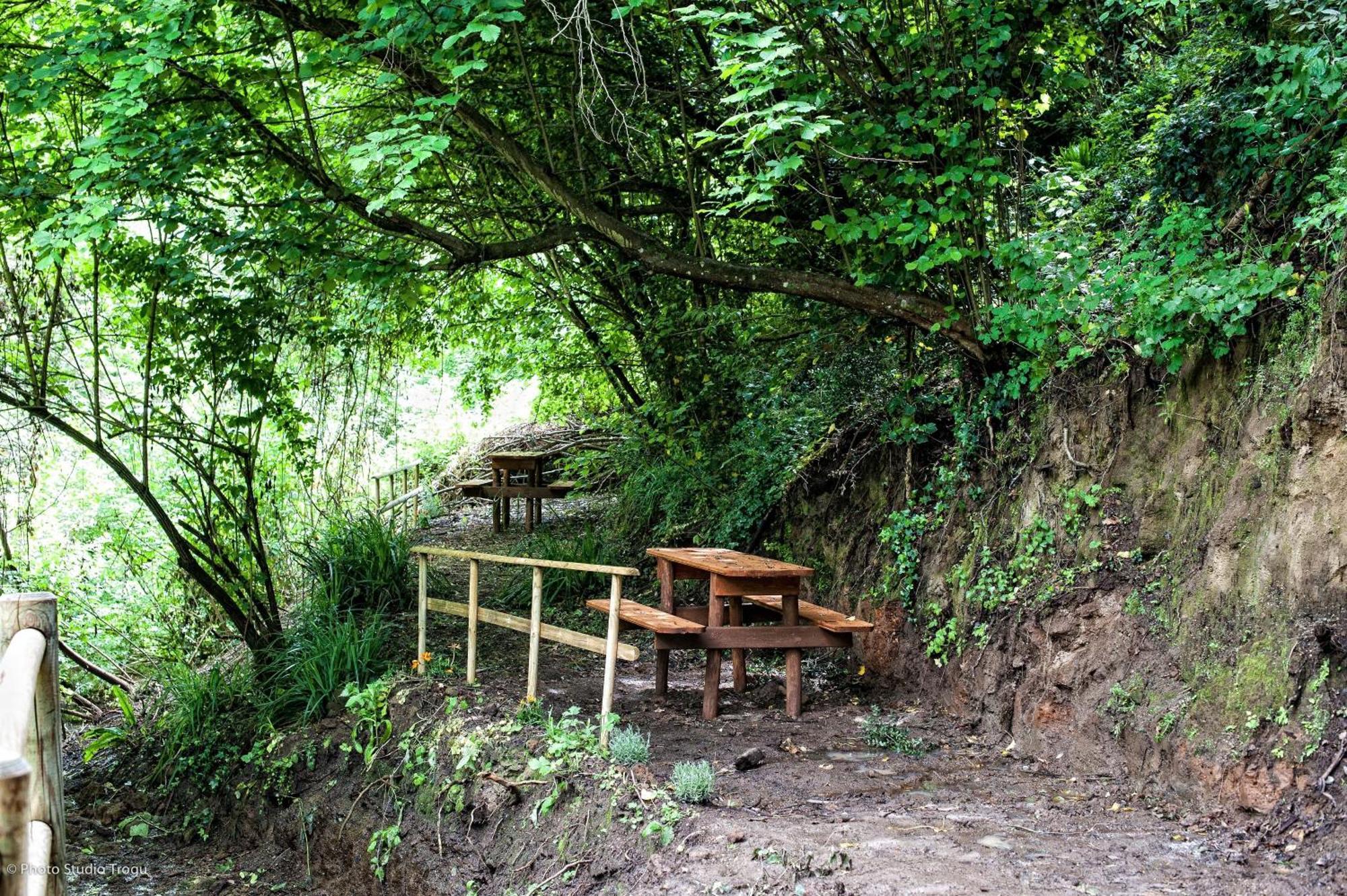 Il Giardino Dei Flintstones B&B Cerveteri Eksteriør bilde