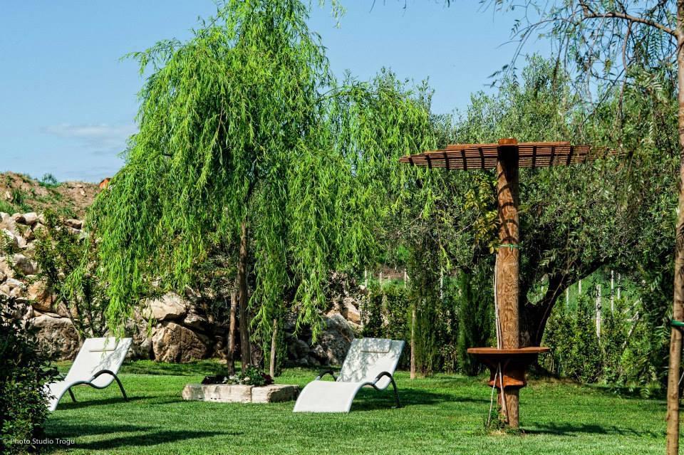 Il Giardino Dei Flintstones B&B Cerveteri Eksteriør bilde