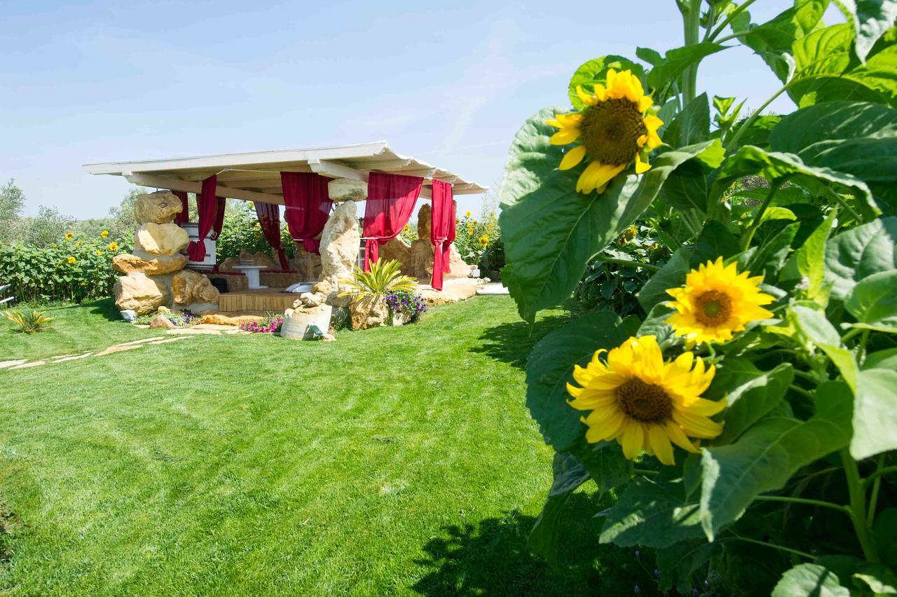 Il Giardino Dei Flintstones B&B Cerveteri Eksteriør bilde